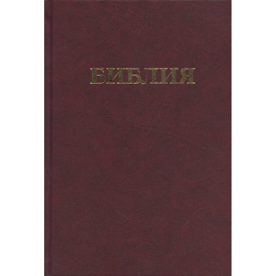 Библия. Книги Священного Писания Ветхого и Нового Завета. Канонические. В русском переводе с параллельными местами и приложением - фото №7