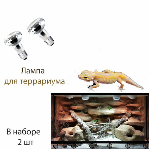 Для террариума лампа декор 2 шт для террариума черепах ящериц рептилий растения грунт