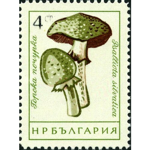 (1961-072) Марка Болгария Шампиньон лесной Грибы (1) III Θ