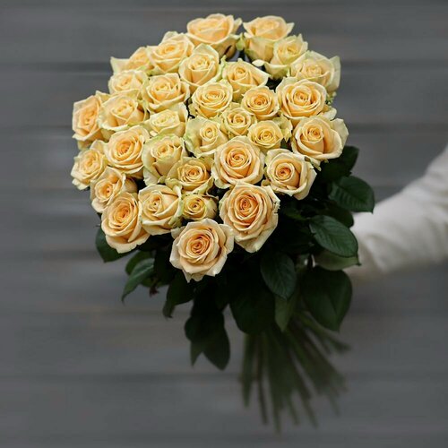Изображение товара Букет живых цветов из 31 кремовой розы (Россия) с лентой 60 см