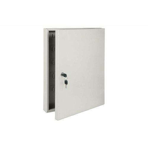 Netlink Ключница К-100 00000000253