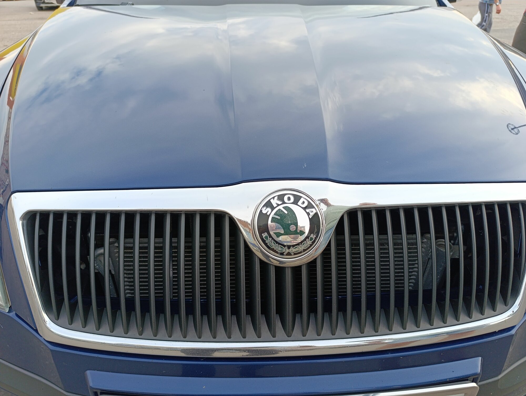 Комплект эмблем Skoda Octavia A5 — фото 1