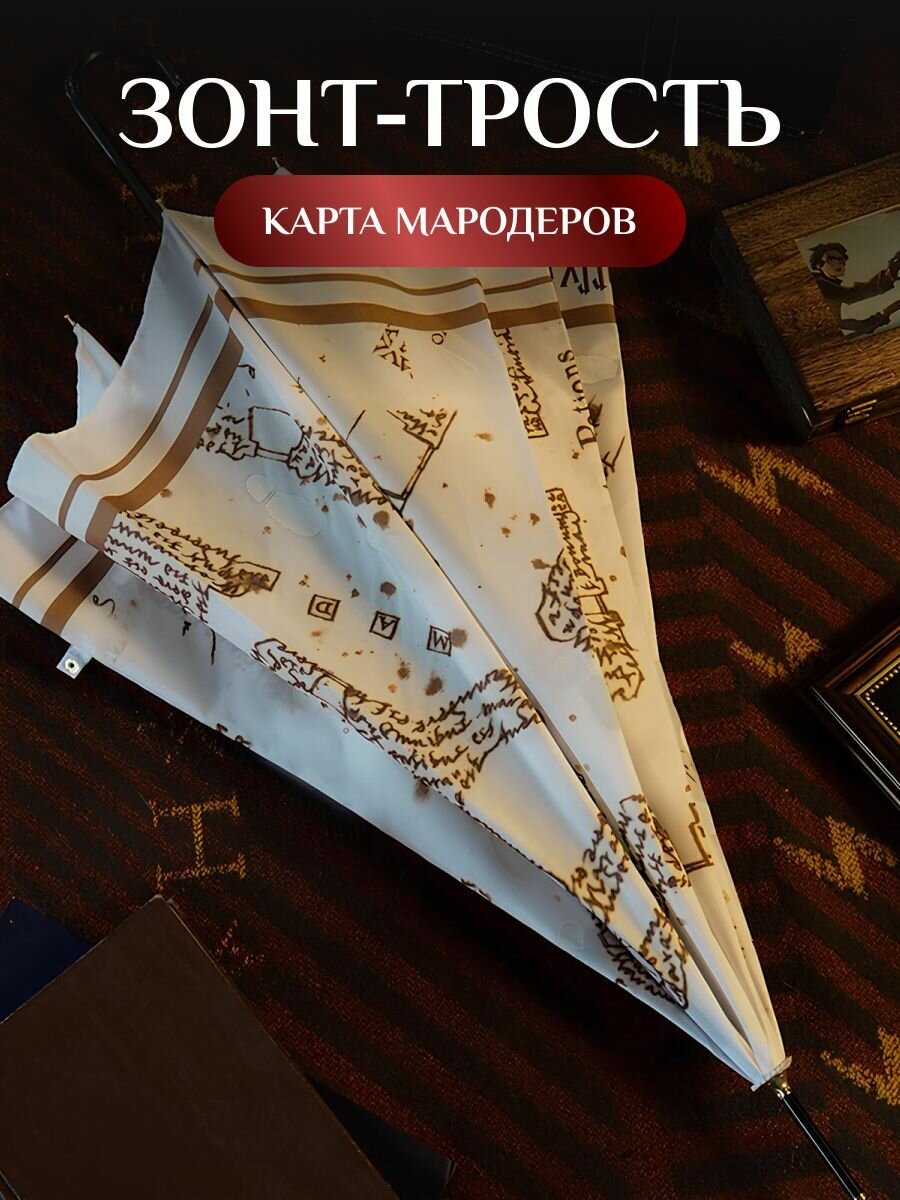 Зонт Гарри...