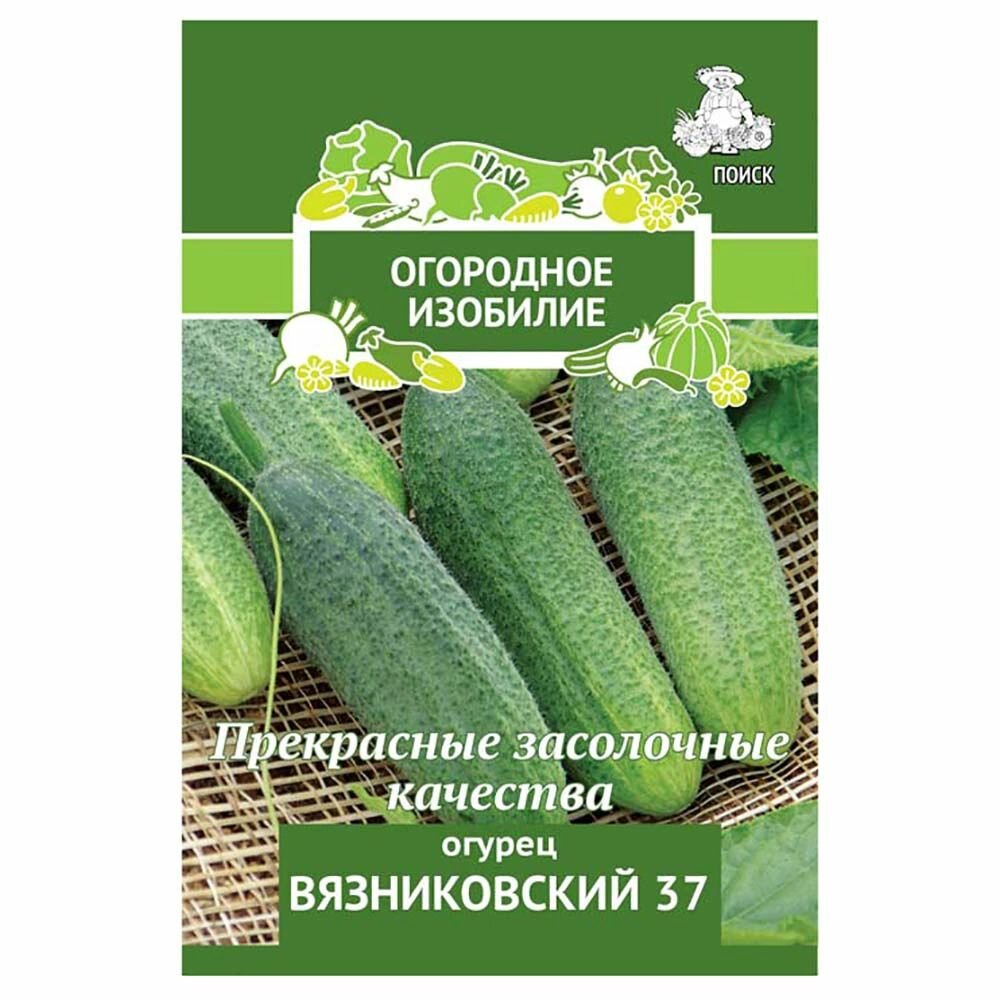 Огурец Вязниковский 37