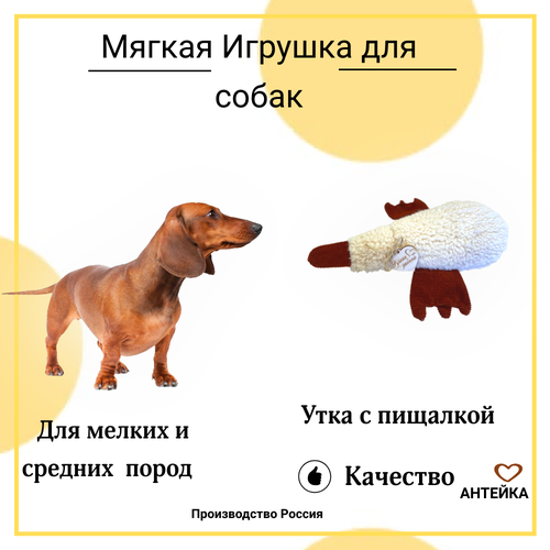 Игрушка для собак AHTEЙKA Утка с пищалкой, для мелких и средних пород