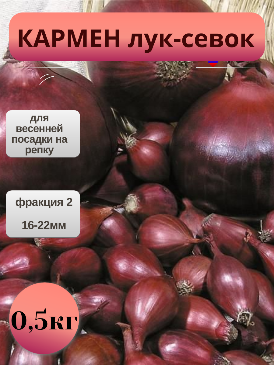 Лук севок Кармен 500г для посадки весной на репку для зелени