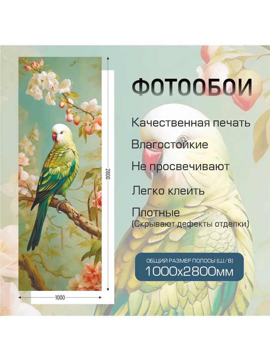 Фотообои в зал — фото 1