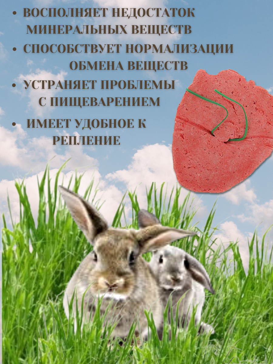 Изображение Минеральная подкормка Мышильд "Солонец Клубника", для грызунов, 50 г