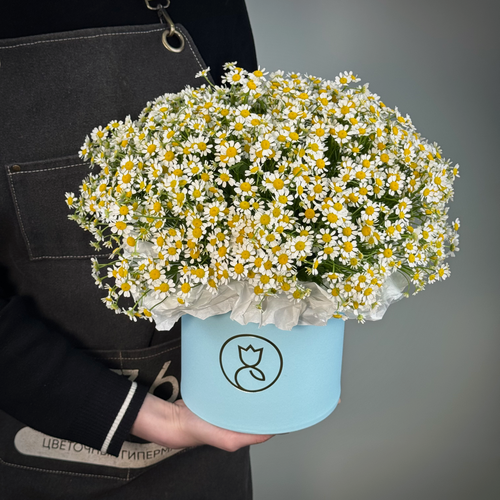 Изображение товара Ромашка в шляпной корообке М от «365 Поводов» - живые цветы с доставкой