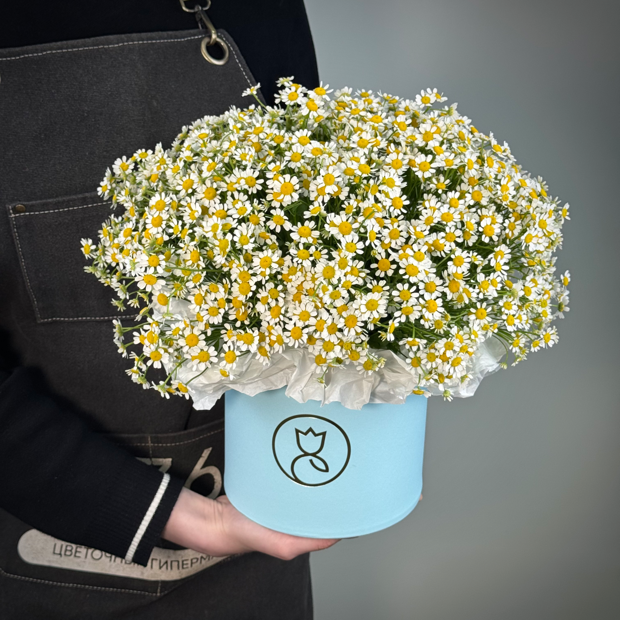 Ромашка в шляпной корообке М от «365 Поводов» - живые цветы с доставкой