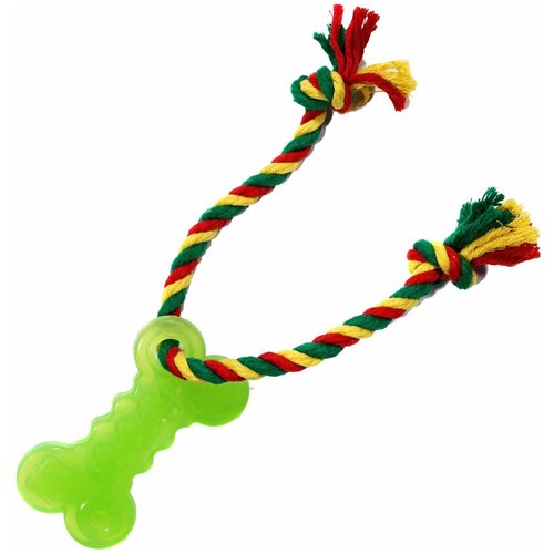 dental knot кость малая с канатом резина 13 см х 10 2 см зеленая d11 3951 gr 0 075 кг 43856 Игрушка для собак Doglike Кость Малая с канатом (Зеленый)