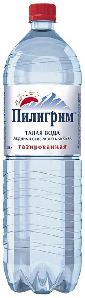 Минеральная питьевая вода Пилигрим газированная, ПЭТ, 1.5 л - фотография № 6