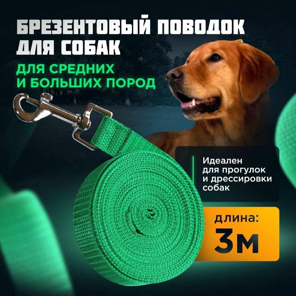 фото Поводок для средних, больших собак/ брезентовый с карабином/длина 3 м х ширина 2,5 см/Амуниция для животных