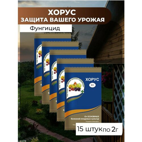 Средства защиты растений Хорус 15 шт