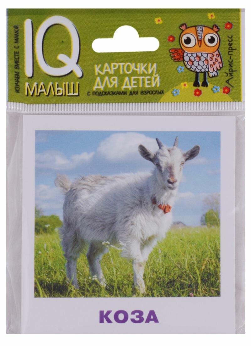 Домашние животные. Карточки для детей с подсказками для взрослых - фото №8