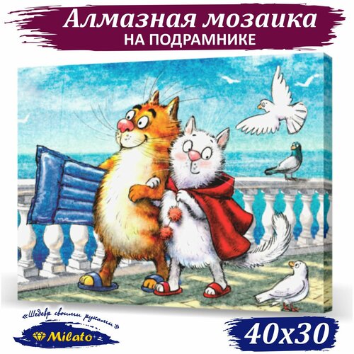 Алмазная мозаика на подрамнике 30х40 см MILATO 