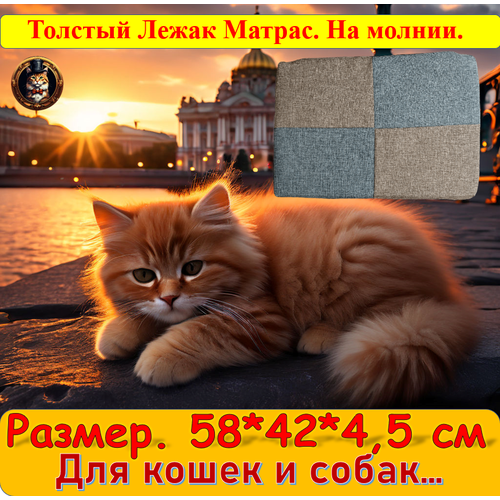 Лежак-матрас 60*40*5 /Очень мягкая лежанка для средних пород собак и кошек.