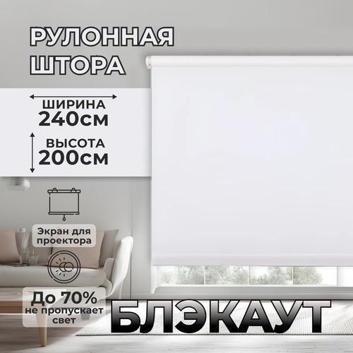 Штора рулонная блэкаут 2х24м 13000₽