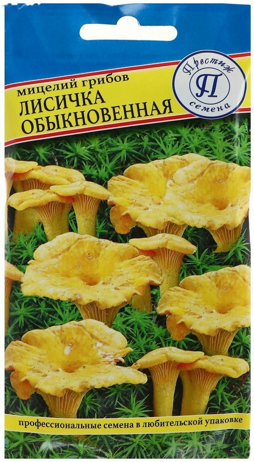 Мицелий грибов Лисичка обыкновенная 50 мл