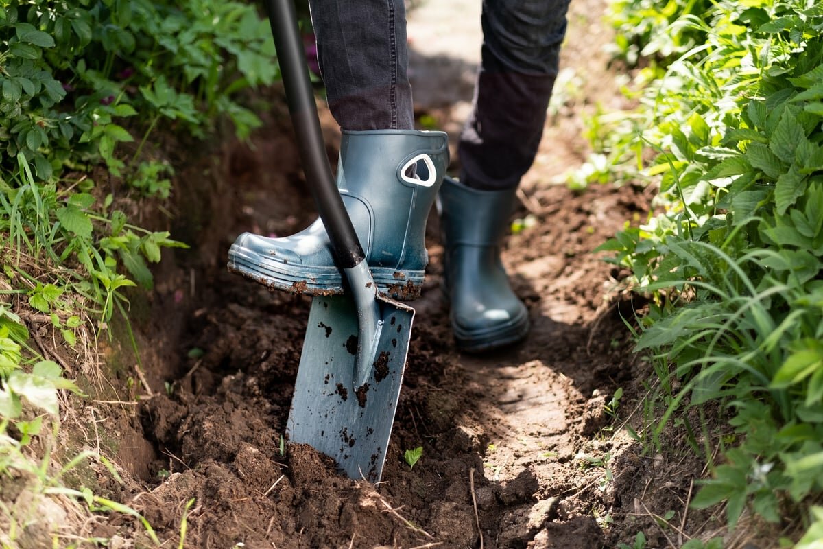 Plantic Лопата для земляных работ Terra Pro 11001-01 — фото 1