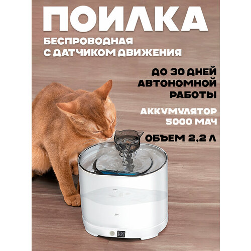 Автоматическая поилка ANNO DANNINI для кошек с аккумулятором, емкостью 2,2 литра