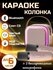 Портативная блютуз колонка с двумя микрофонами Bluetooth караоке