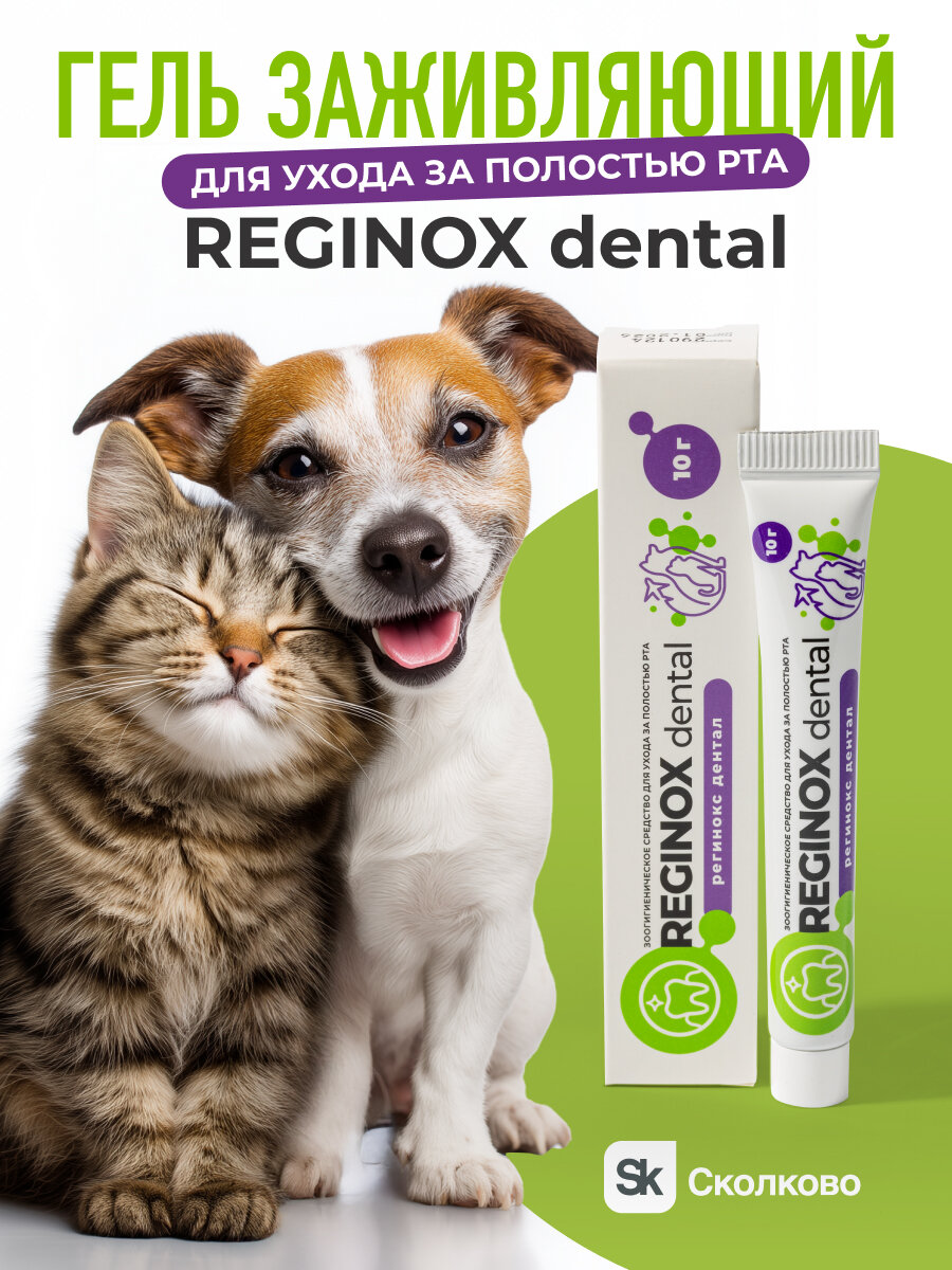 Гель для зубов и полости рта собак и кошек заживляющий (Reginox Dental)