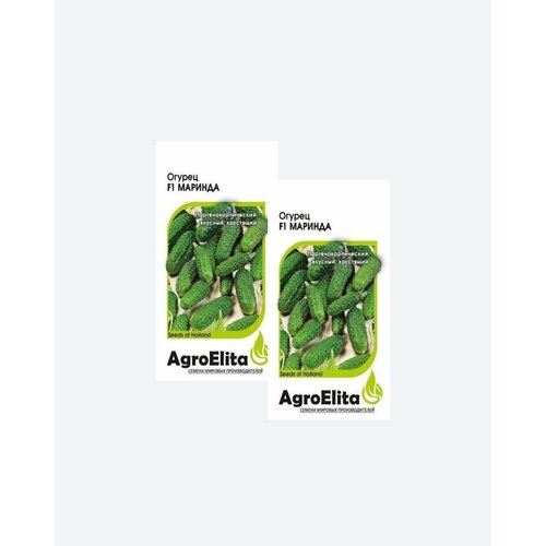 Семена Огурец Маринда F1, 5шт, AgroElita, Seminis(2 упаковки)