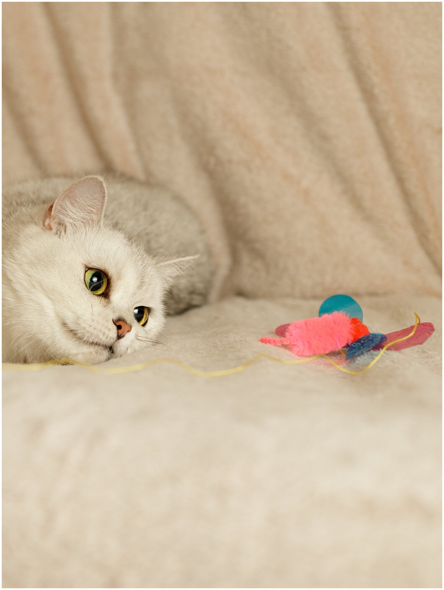Игрушка для кошек Japan Premium Pet удочка с непредсказуемой траекторией движения для опытных кошачьих охотников , стрекоза - фотография № 6