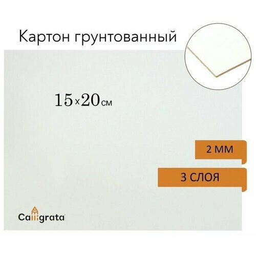 Картон грунтованный акрил 15 х 20 cм, 2 мм, 9 шт. картон грунтованный акриловый 50 х 70 cм 2 мм 5 шт