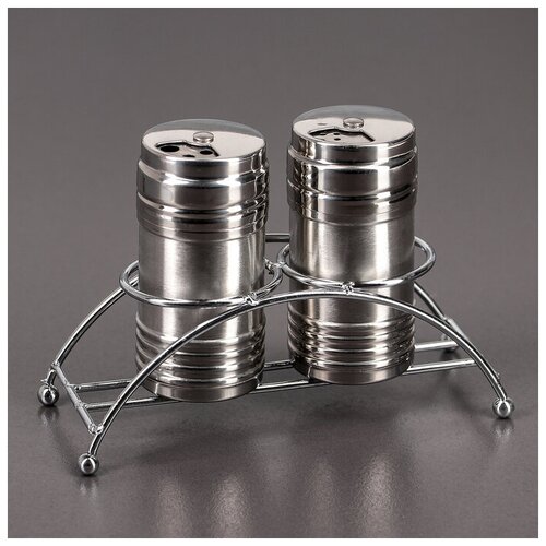 Набор для специй на подставке «Металлик», 100 мл, 2 шт, цвет серебряный