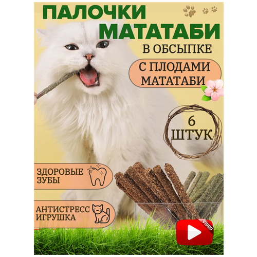 Жевательные деревянные палочки Мататаби для чистки зубов кошкам с плодами актинидии 6 штук