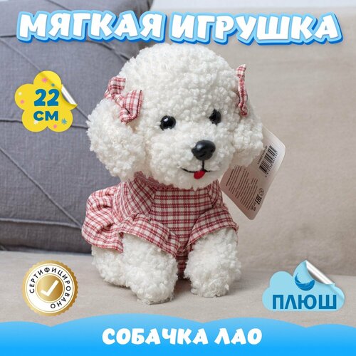 фото Мягкая игрушка собака пудель для девочек и мальчиков / плюшевая собачка для детей kidwow белый 22см tomato