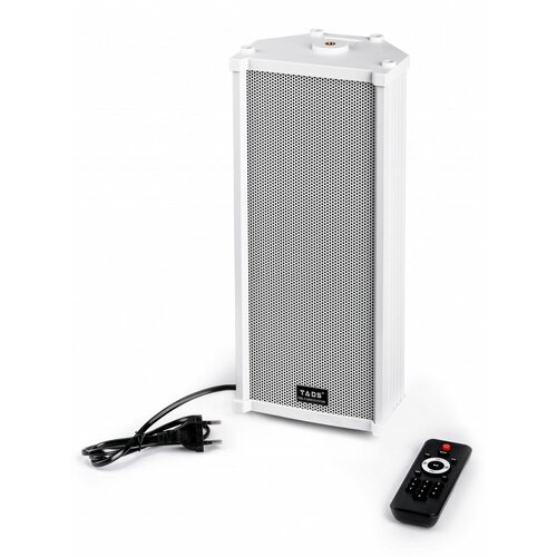 DS-20E-A Акустическая система активная 20 Вт Bluetooth TADS 473000₽