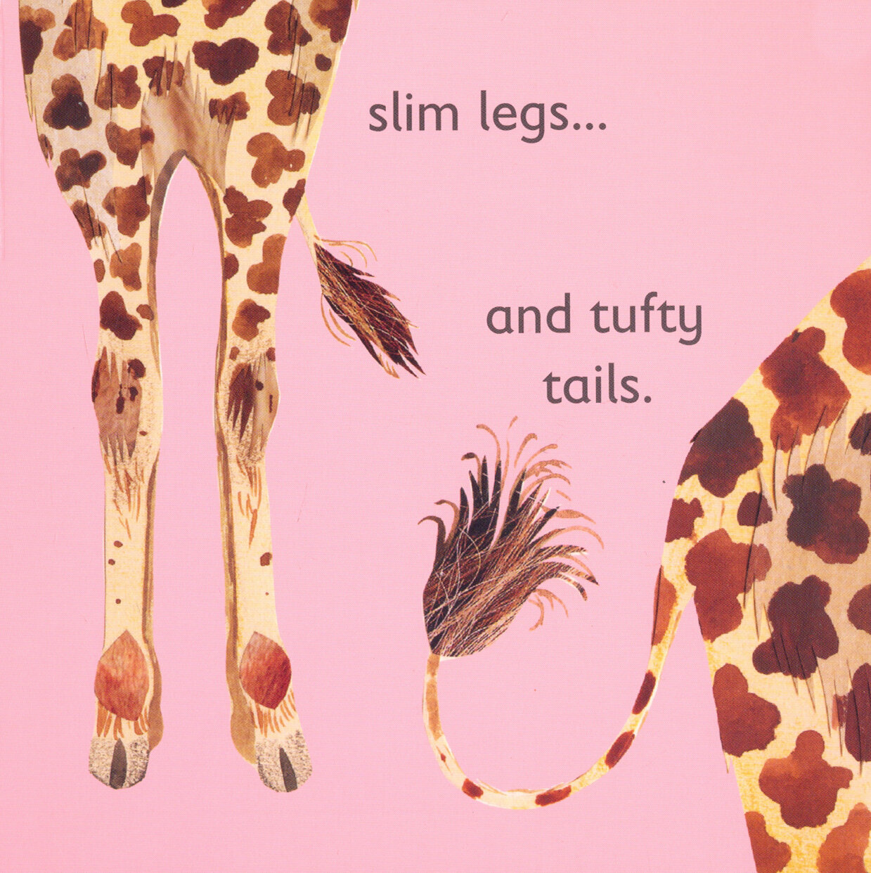 G is for Giraffe (Katherine Neville) - фото №3