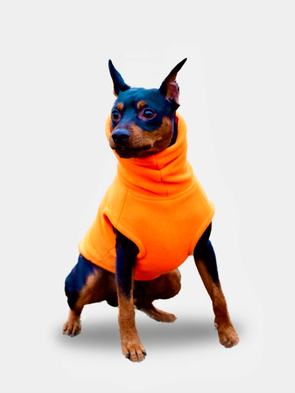 Жилет для собак мелких и средних пород флисовый цвергпинчер