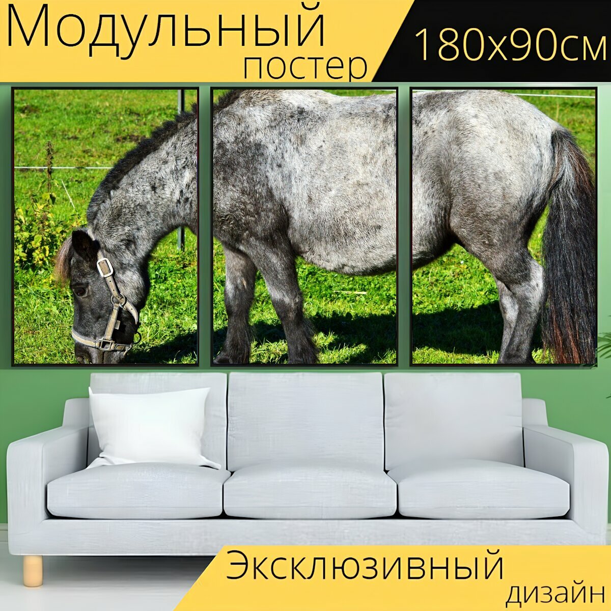 Модульный постер "Пони, ни одна лошадь, лошадь" 180 x 90 см. для интерьера
