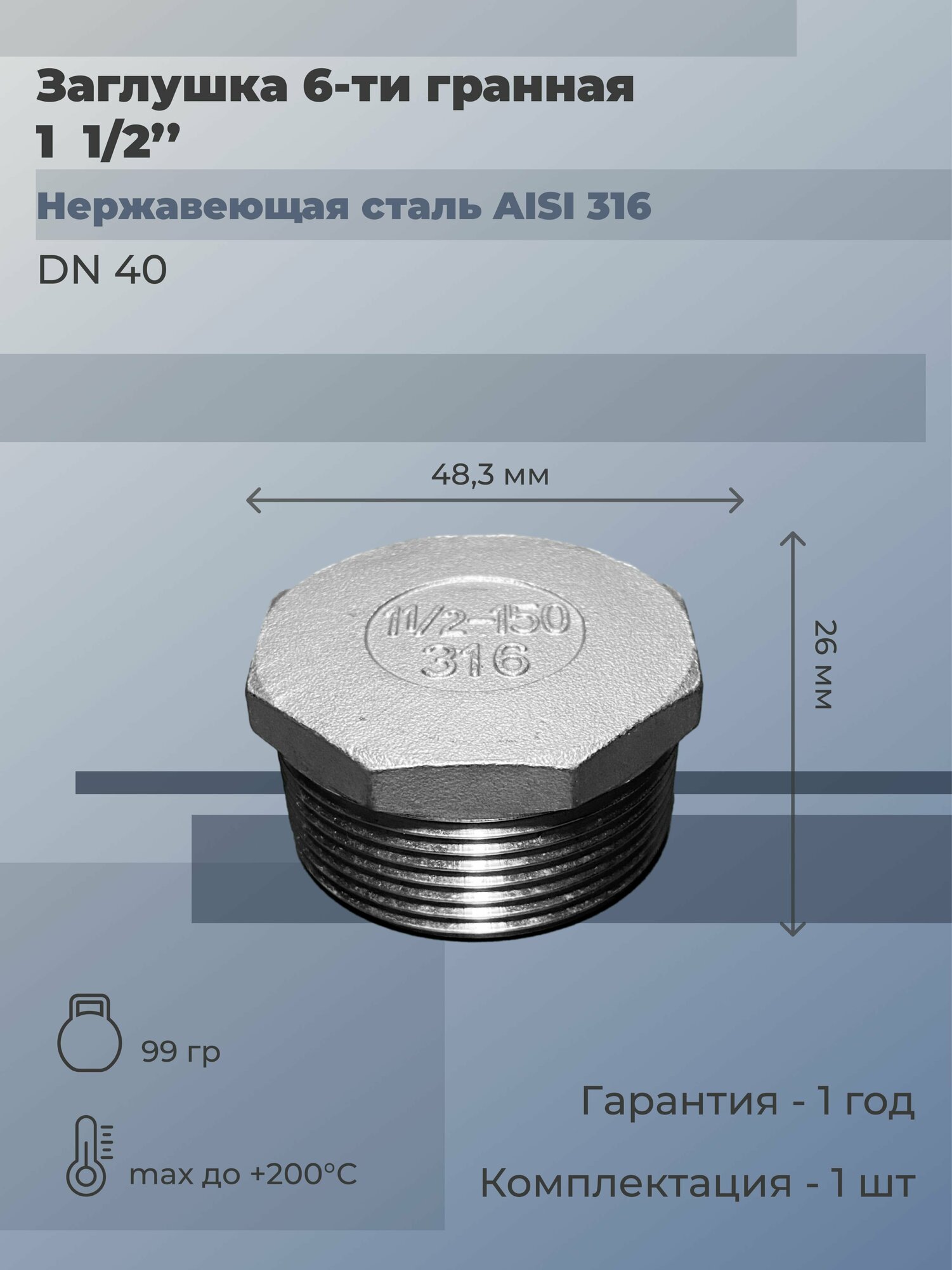 фото Заглушка нержавеющая НР Ду 25 (1") AISI 316 (2 шт)