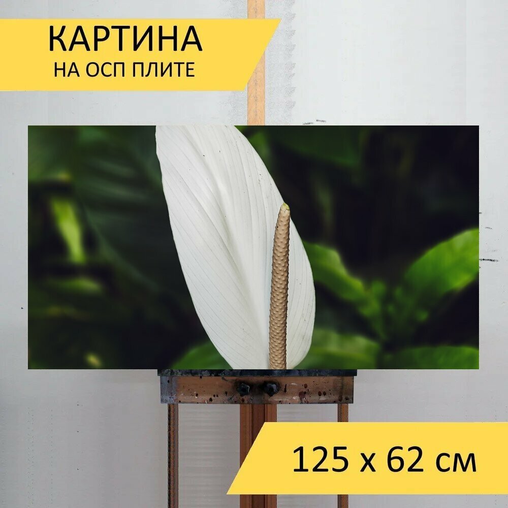 Картина на ОСП 125х62 см. 