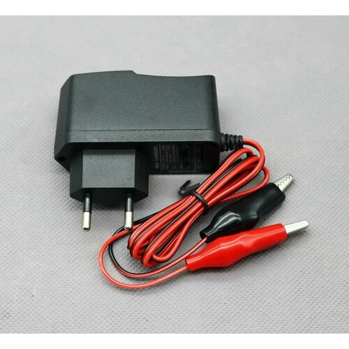 Зарядное устройство 12V 1A 55000₽