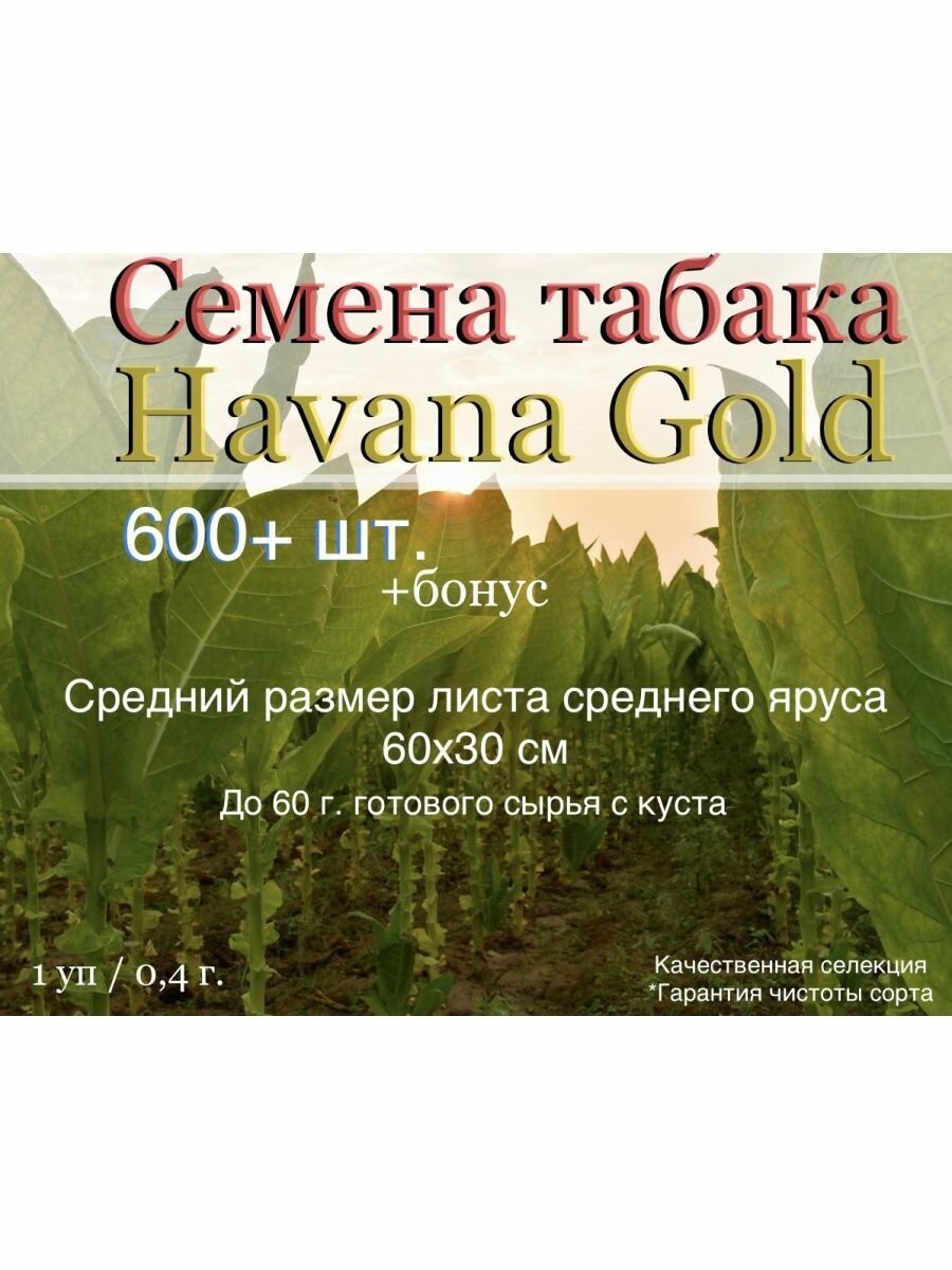Семена табака Havana Gold