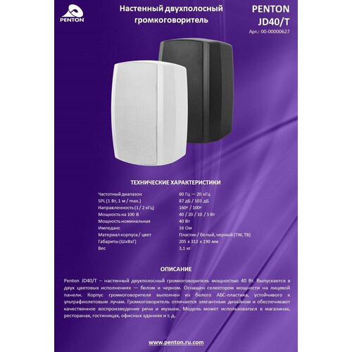 Корпусной трансляционный громкоговоритель PENTON JD 40/TB, черный, 40 Вт, с фазоинвертором. черный, черный матовый