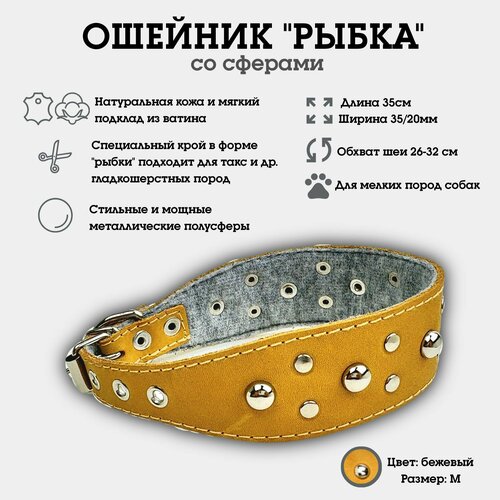 Ошейник "Селедка со сферами" из натуральной кожи и ватина M