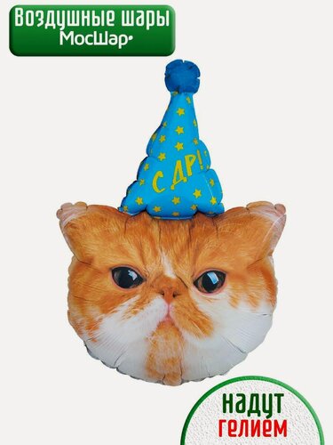 Изображение товара Воздушный фольгированный шар с гелием, шары на день рождения, котенок в колпачке 1шт