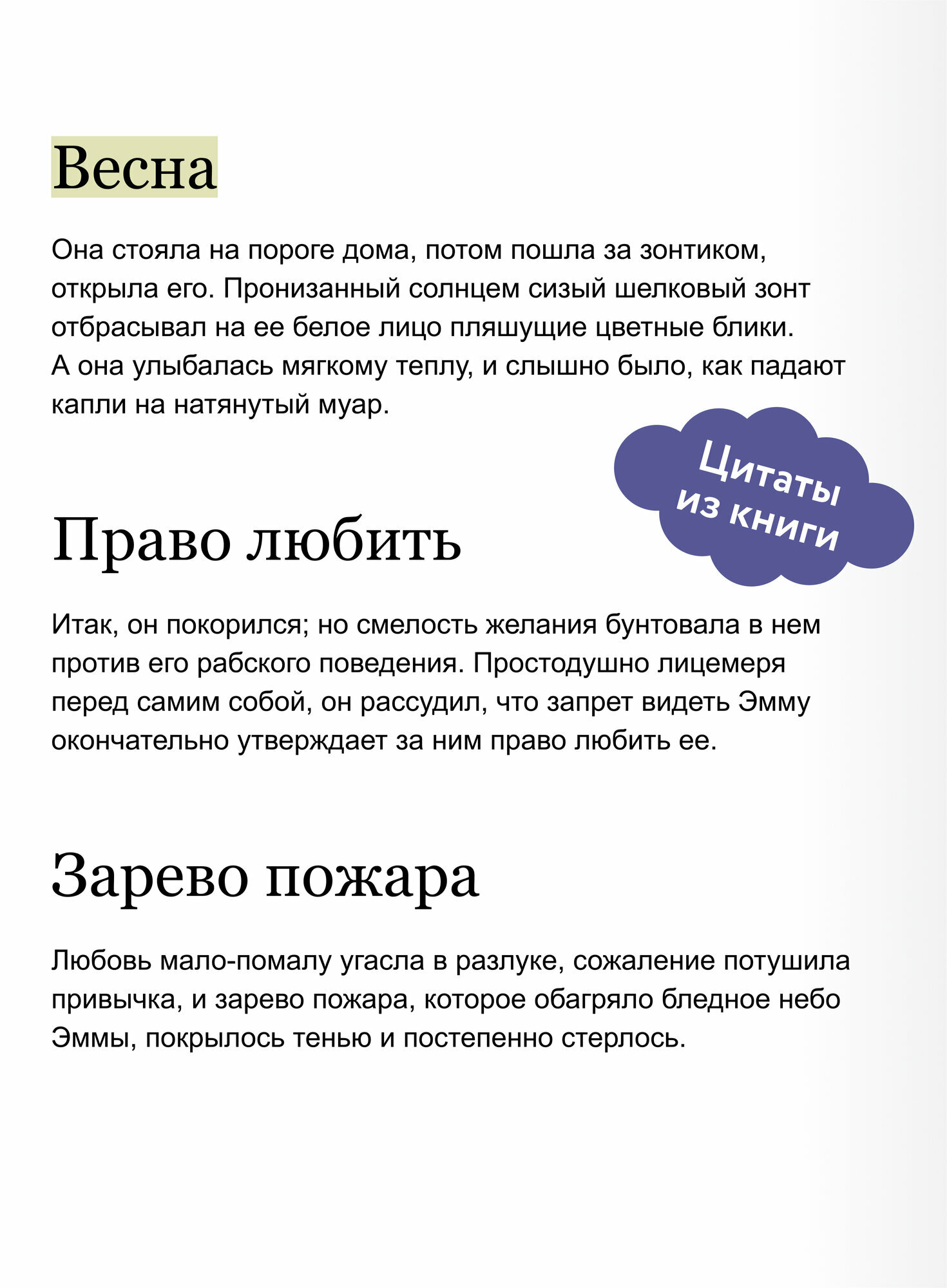 Госпожа Бовари. Вечные истории. Young Adult - фото №4