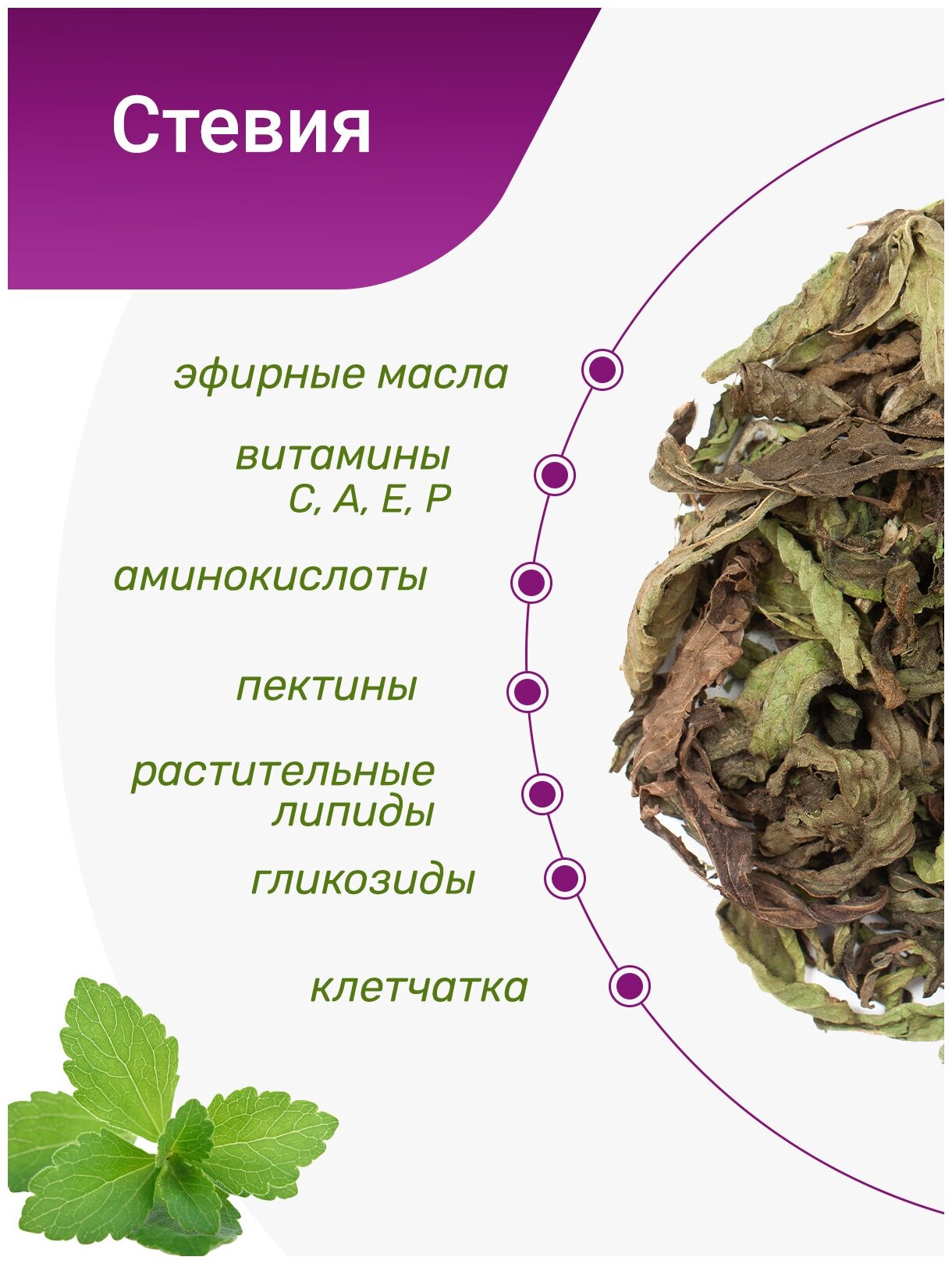 Травяной чай сбор Стевия сахарозаменитель, лист натуральный Травы Горного Крыма, 30 гр - фотография № 6
