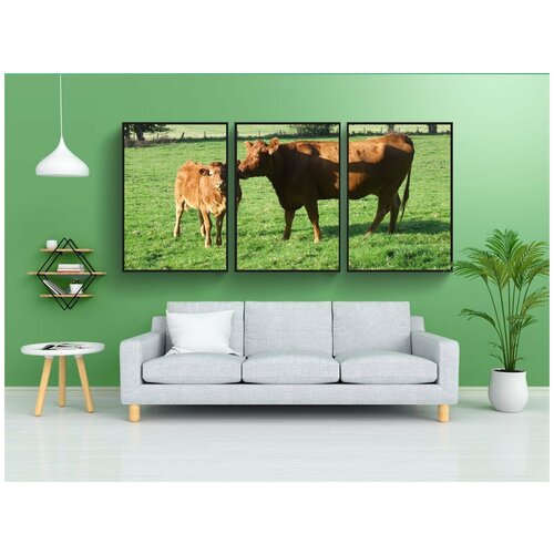 фото Набор модулных постеров для интерьера "корова, телец, облизывание" 60x90 см. в тубусе, без рамки lotsprints