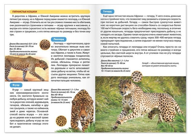 Мир животных. Мини-энциклопедии (комплект из 6 книг) - фото №3