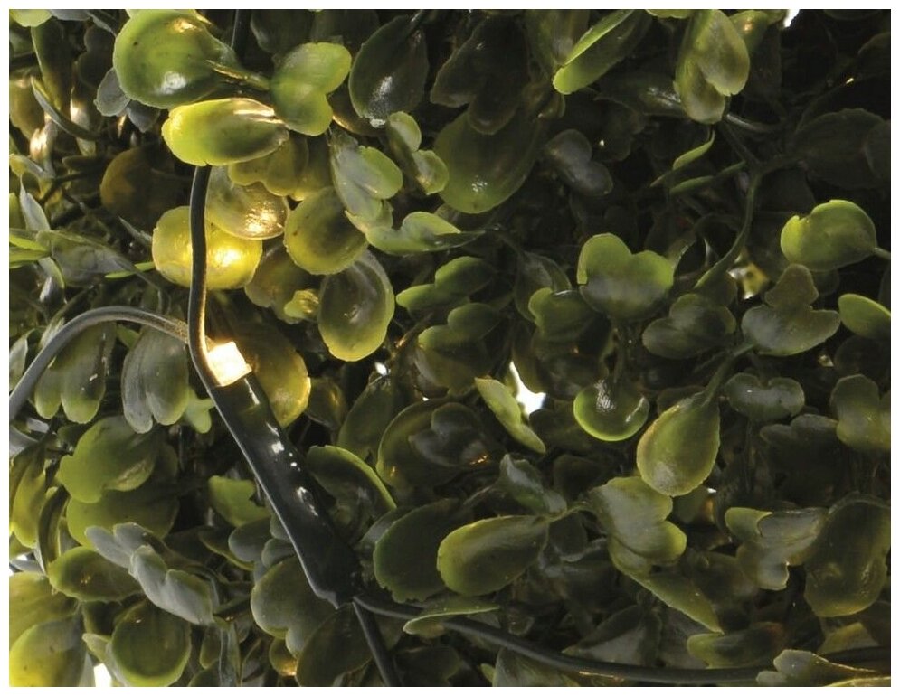 Kaemingk (Lumineo), Гирлянда Сетка на дерево/куст 0.35 м, 60 теплых белых LED ламп, зеленый ПВХ, IP44 494886