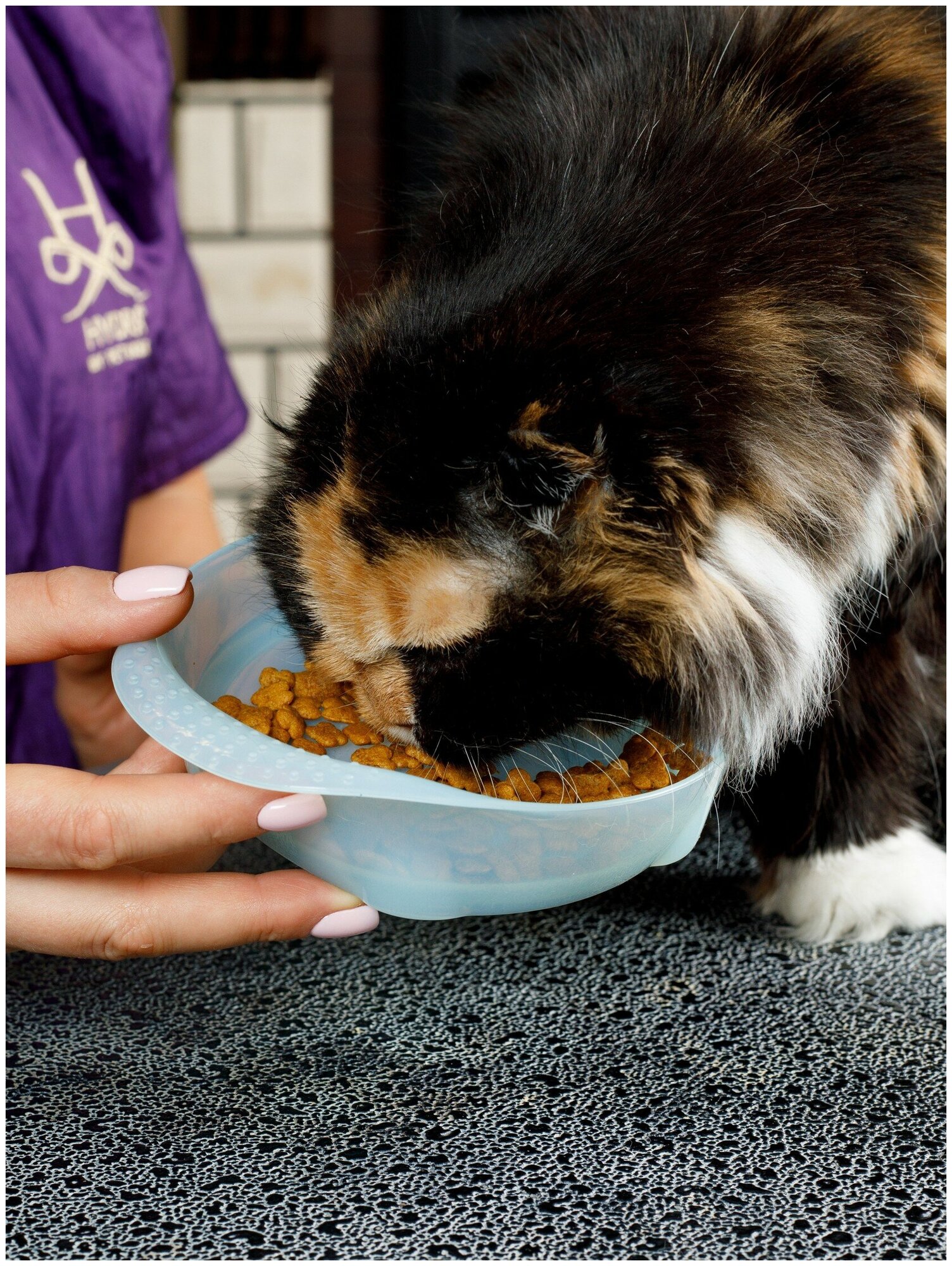 Лакомство для кошек PRESENT. Japan Premium Pet, для выведения шерсти на основе японского тунца бонито, 240г - фотография № 7